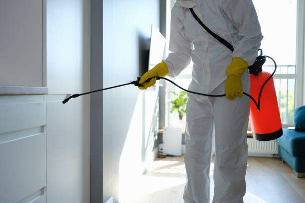 Best Health and Safety Mold Remediation in Danvers, IL