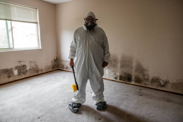 Trusted Danvers, IL Mold Remediation Experts